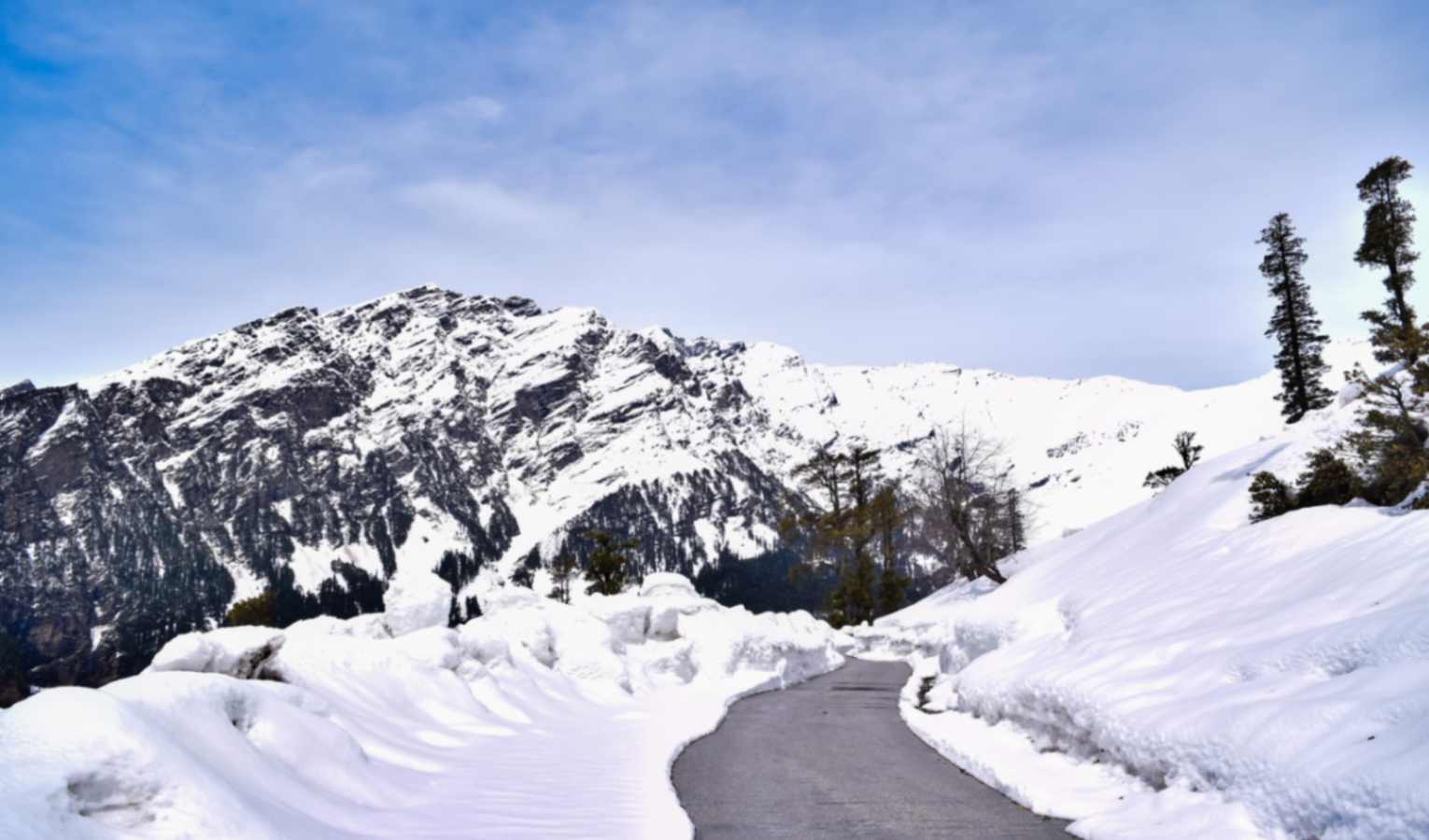 Shimla Manali - Honeymoon