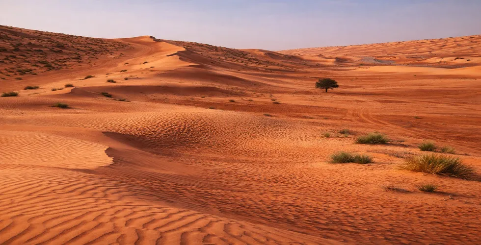 Desert Camps Wahiba Sand