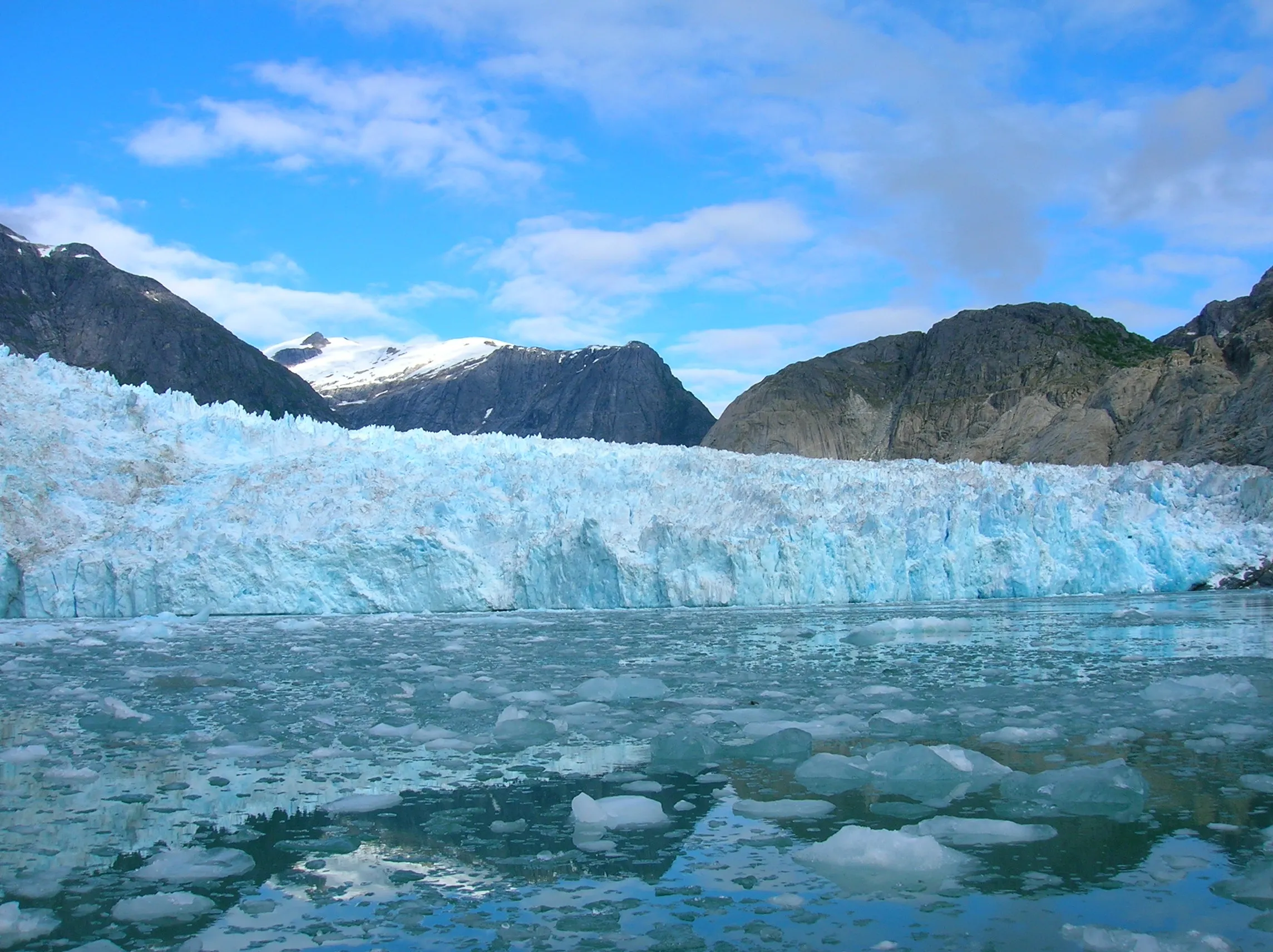 Arctic Expedition With Polar Bear