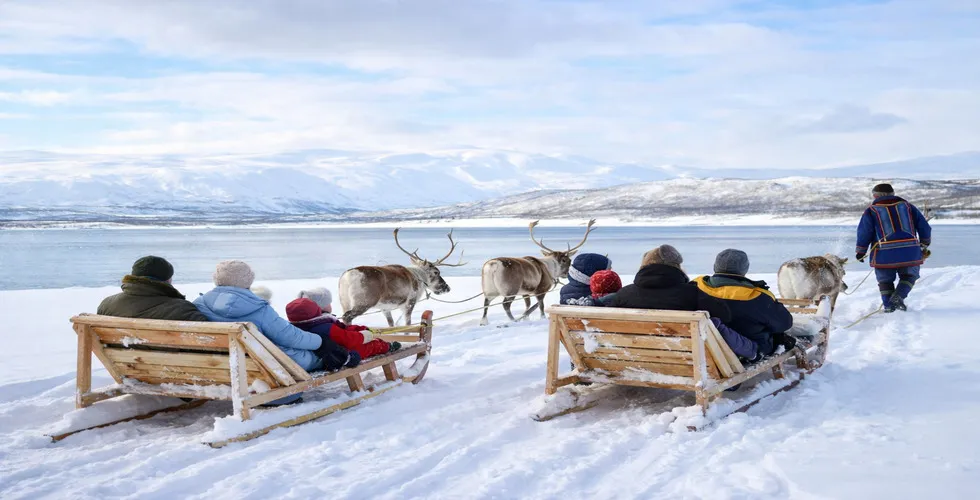 Reindeer Sledding 