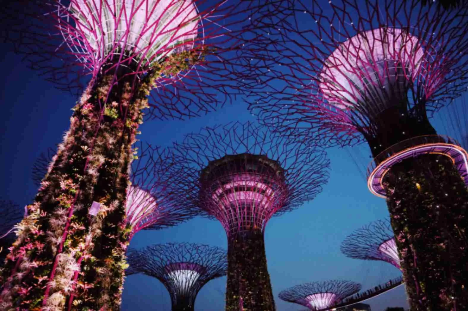 Gardens by the bay