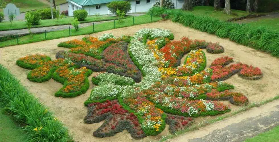 Hakgala Botanical garden