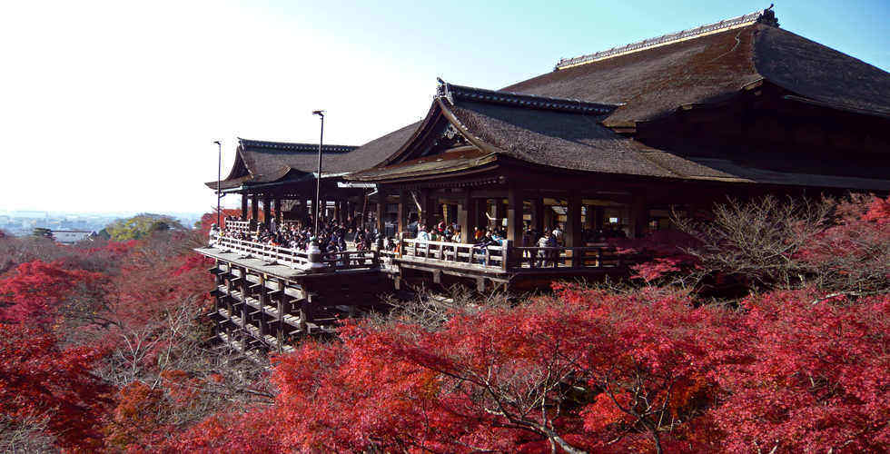 Japan Alpine Route With Ashikaga Flower Park