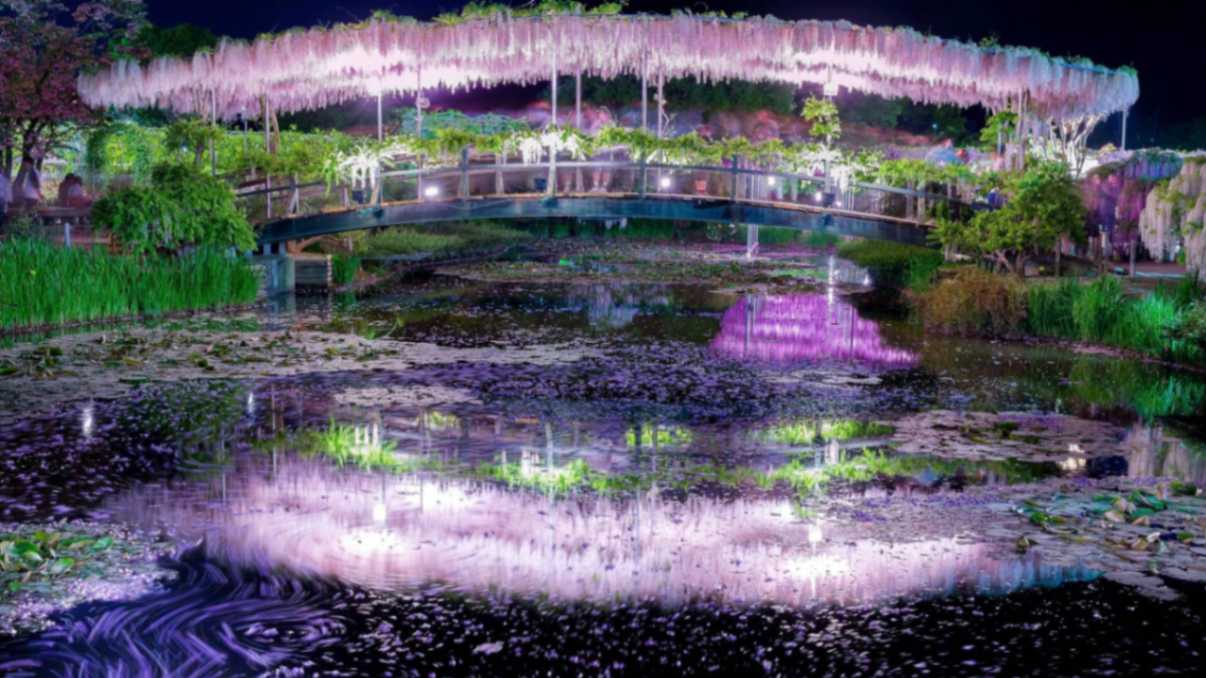 Japan Alpine Route With Ashikaga Flower Park