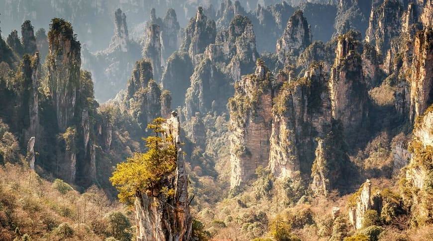 Zhangjiajie National Forest