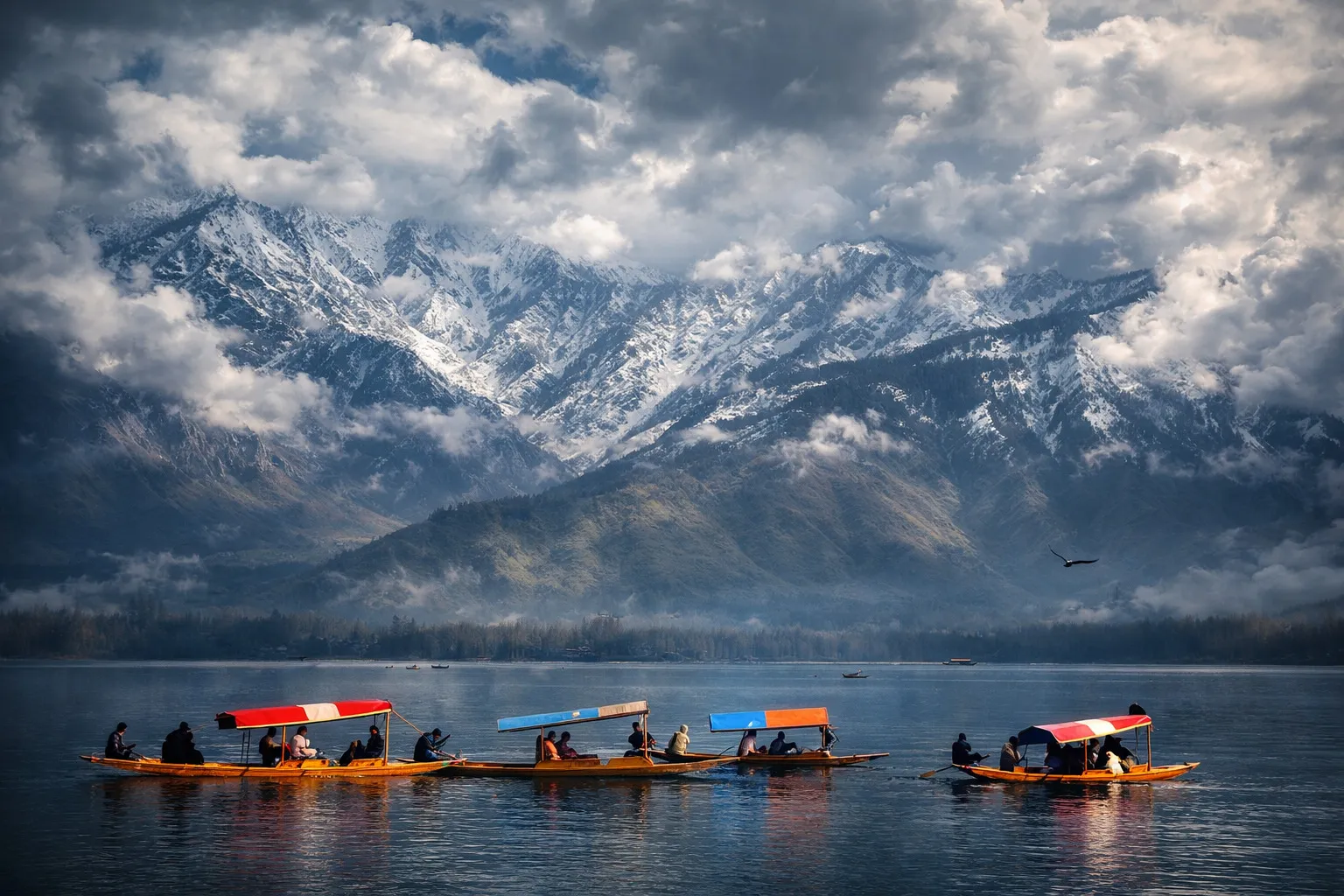 Mesmerizing Shikara Ride 
