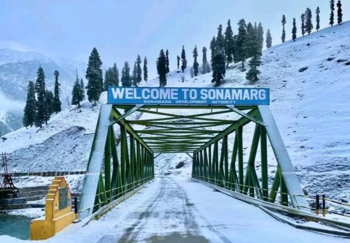 Meadow of Gold-Sonmarg
