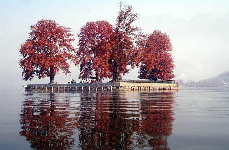 Picturesque Char Chinar