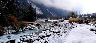 Meadow of Gold-Sonamarg