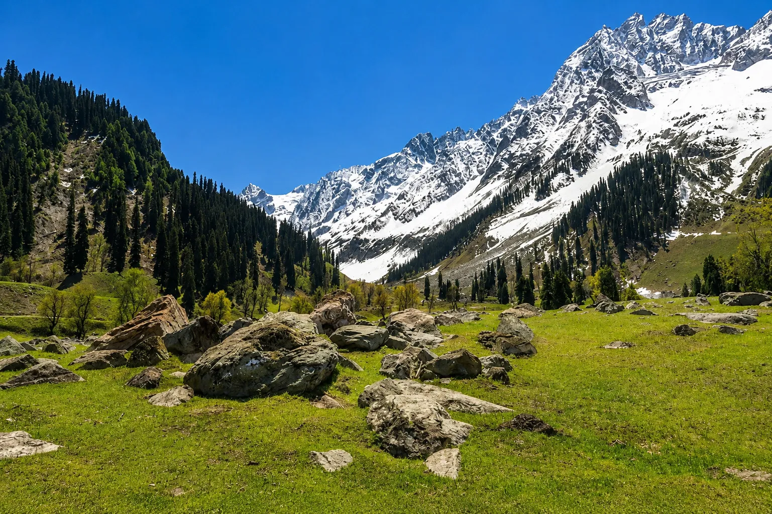 Sonmarg