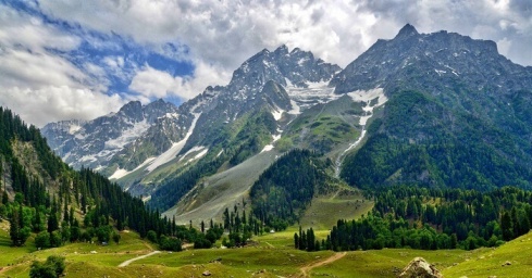 Medow of Gold Sonmarg
