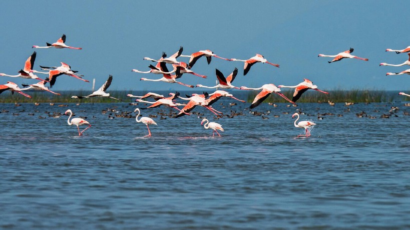 Beautiful Chilka Lake