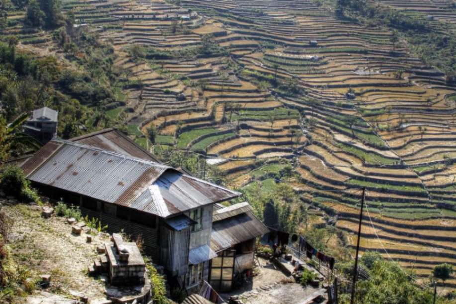 Kohima