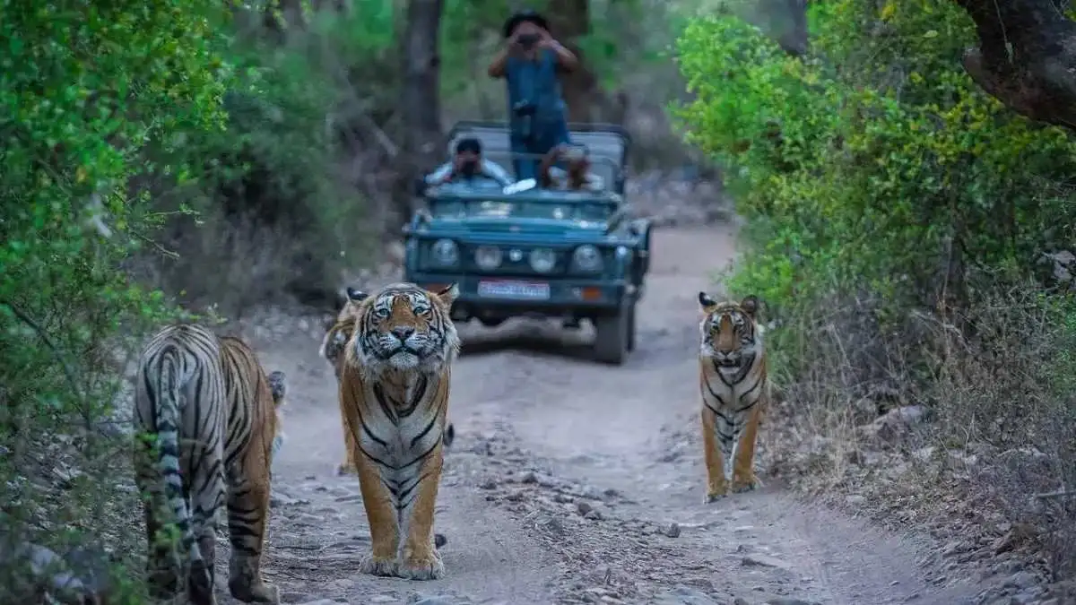 Famous Jim Corbett National Park