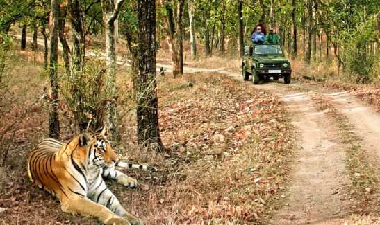 Thrilling Corbett Park