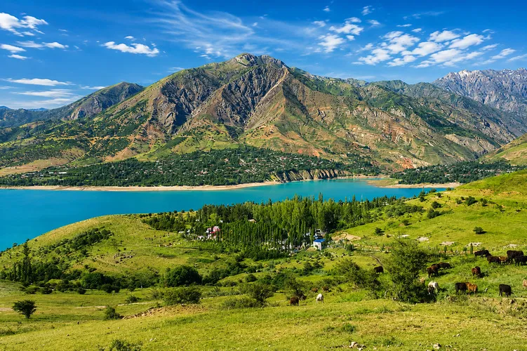 Charvak Lake & Chimgan Mountains