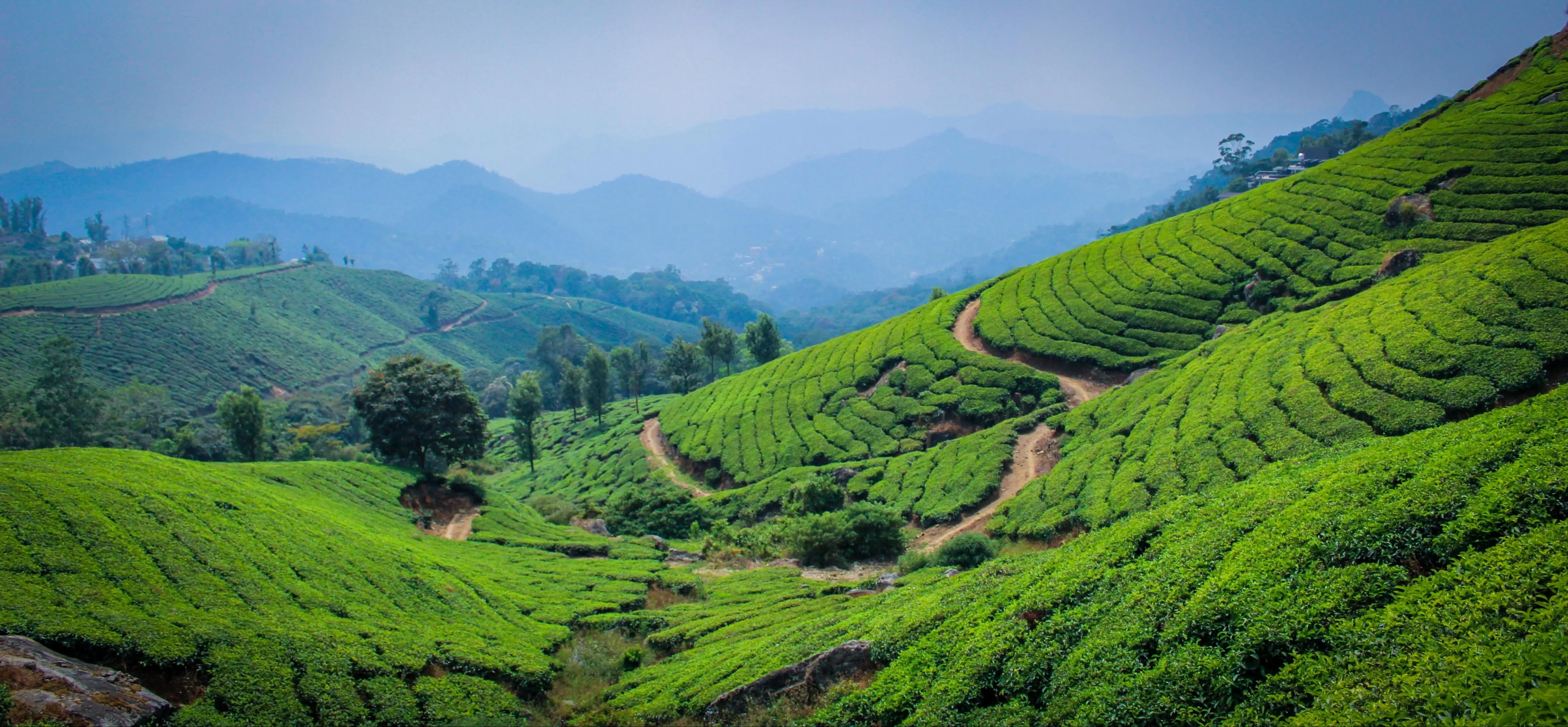 Munnar Alleppey Chota Break