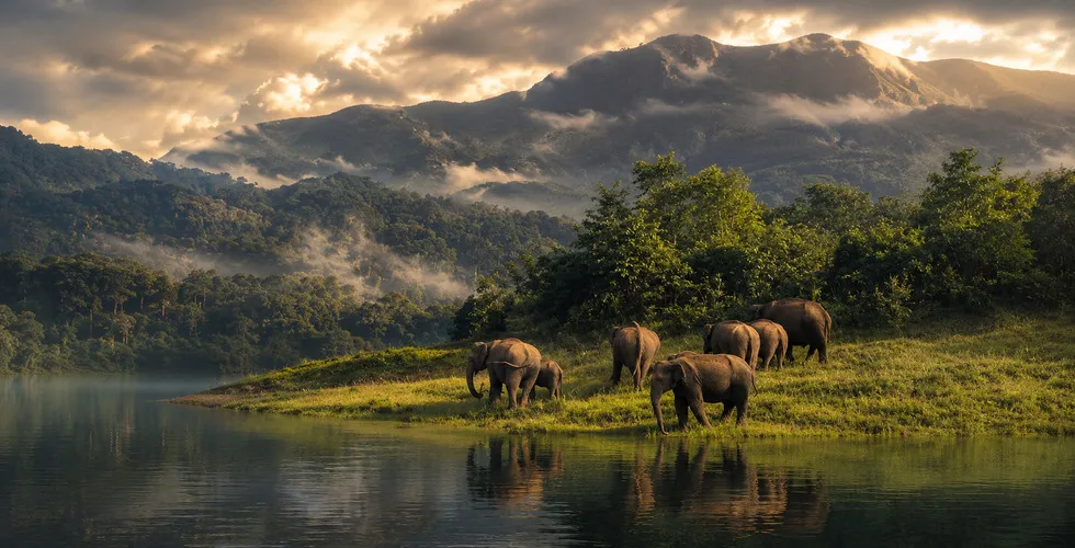 Periyar Wildlife Sanctuary 