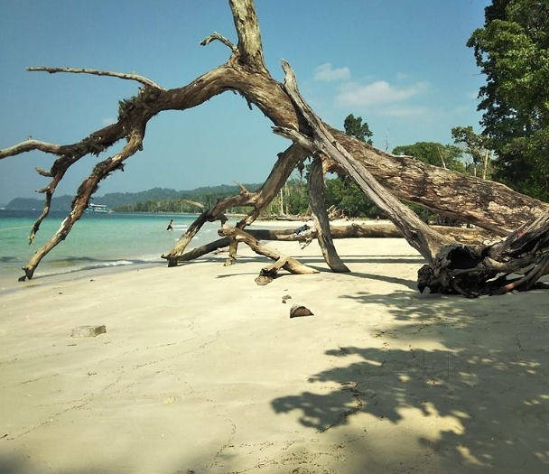 Andaman With Swaraj Dweep & Shaheed Dweep