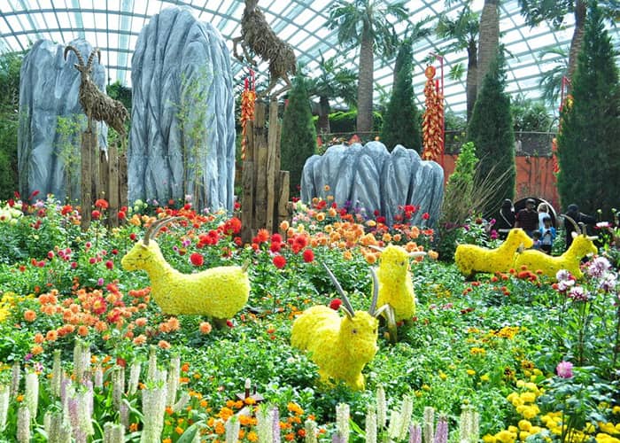 Amazing Gardens by the Bay 