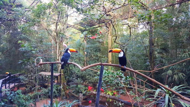 Parque Das Aves Bird Park 