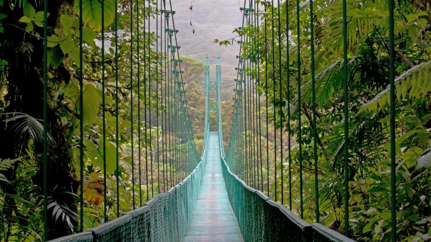 Monteverde Reserve
