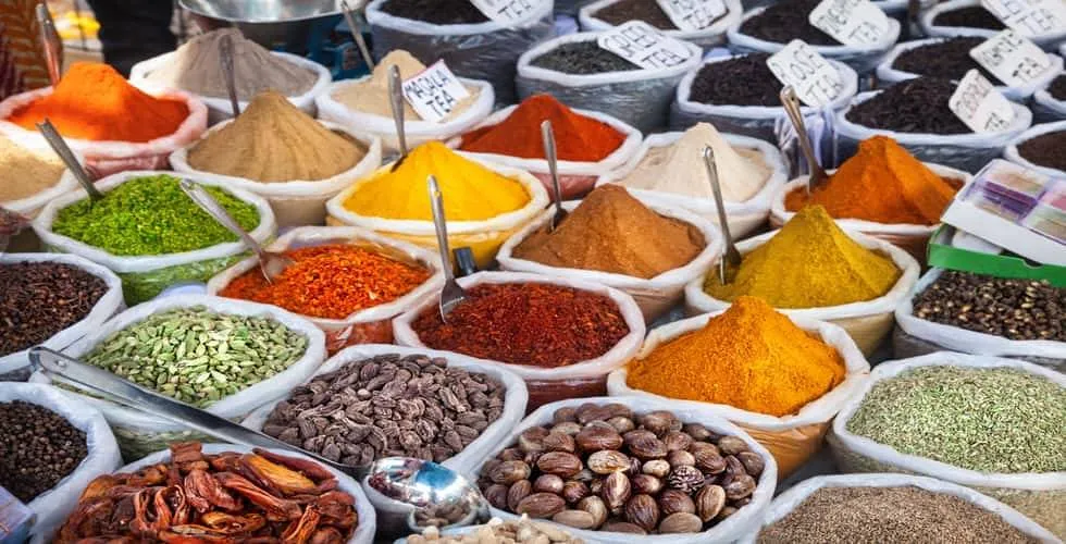 Shopping at Spice Village 