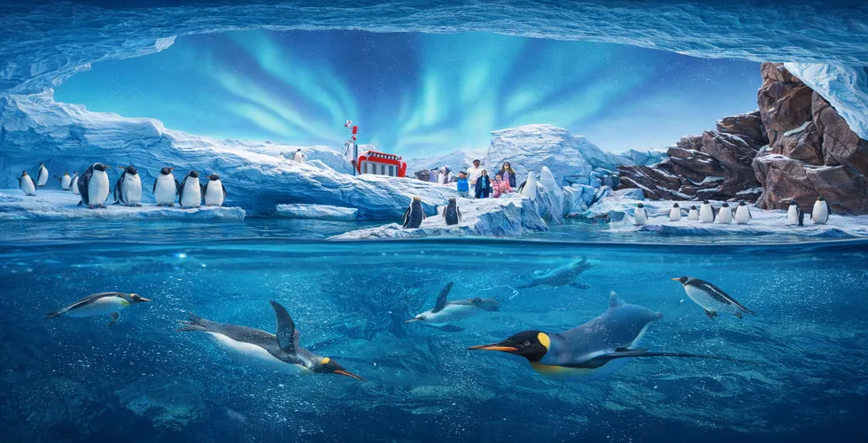 SEA world