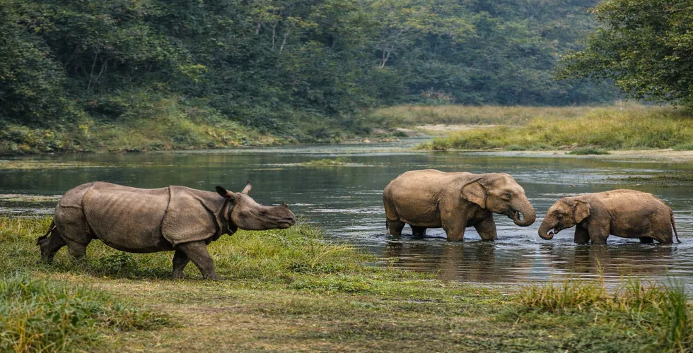 Chitwan National Park