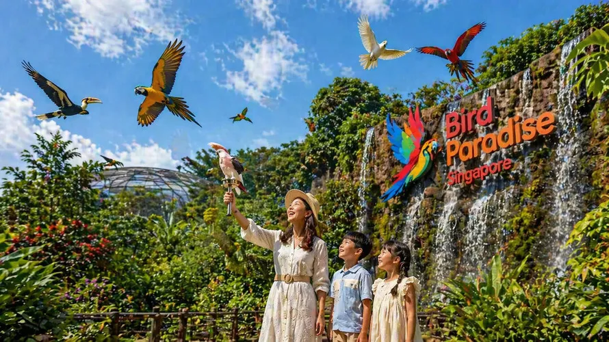 Bird Paradise