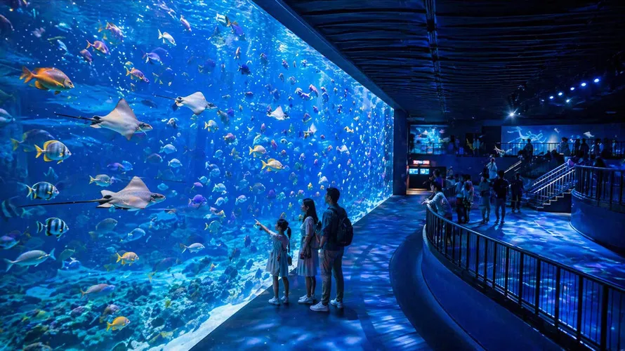 Singapore Oceanarium
