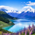 All of Australia NewZealand